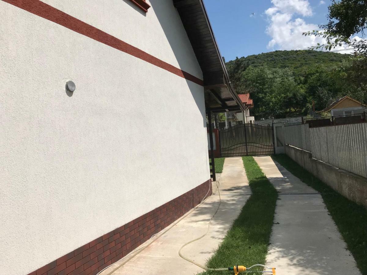 Casa De Vacanta Dalia Si Crina Babadag Exterior foto